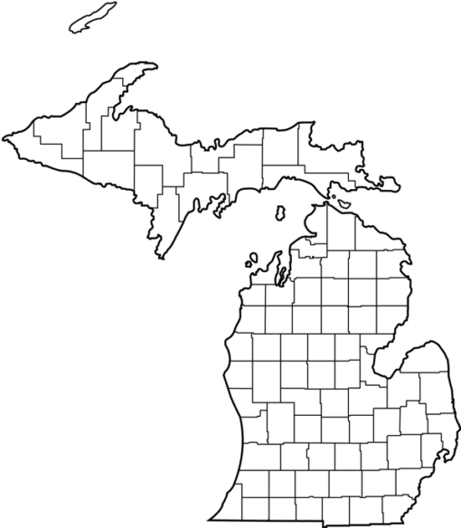 Michigan – counties, outlines