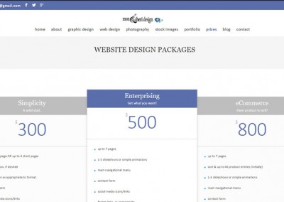 Responsive WordPress WEBSITE design - Grand Rapids MI-SCREENSHOT| prices page